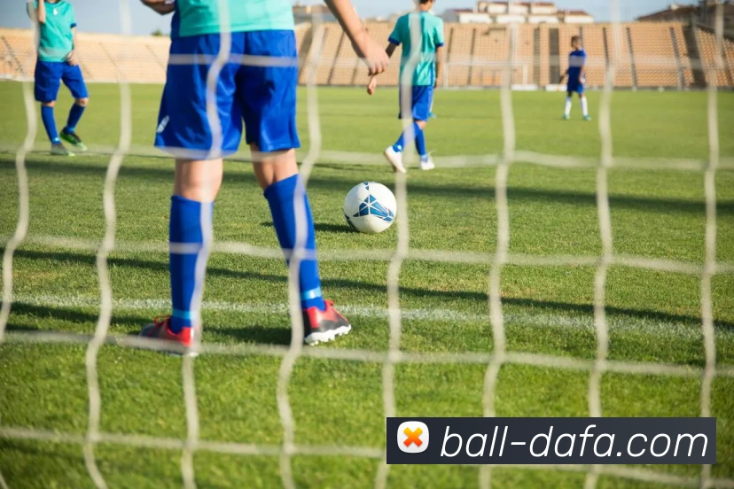 大发官网APP 体育赛事宣传图